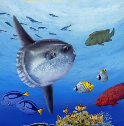 Nushi Tsuri 64: Shiokaze Ninotte