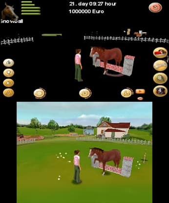 My Pet School 3D