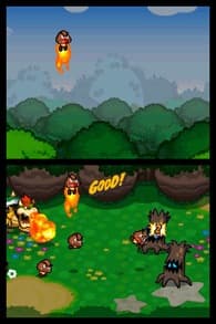 Mario and Luigi: Bowser's Inside Story