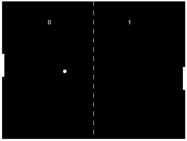 In the beginning, there was Tennis