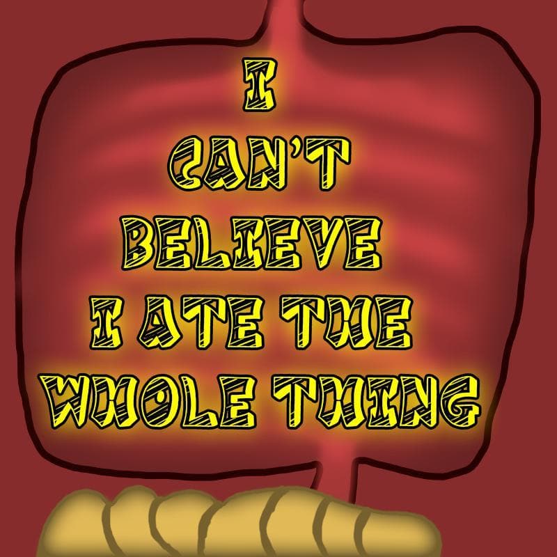 I Can't Believe I Ate the Whole Thing html5 edn